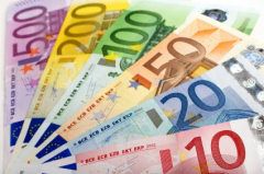 Käteinen raha eli Eurot käyvät maksuvälineenä.